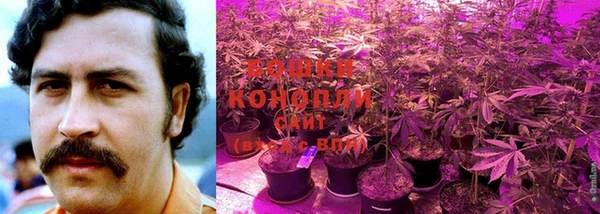 каннабис Белоозёрский