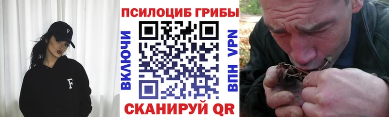 Псилоцибиновые грибы прущие грибы  где купить наркотик  Саяногорск 
