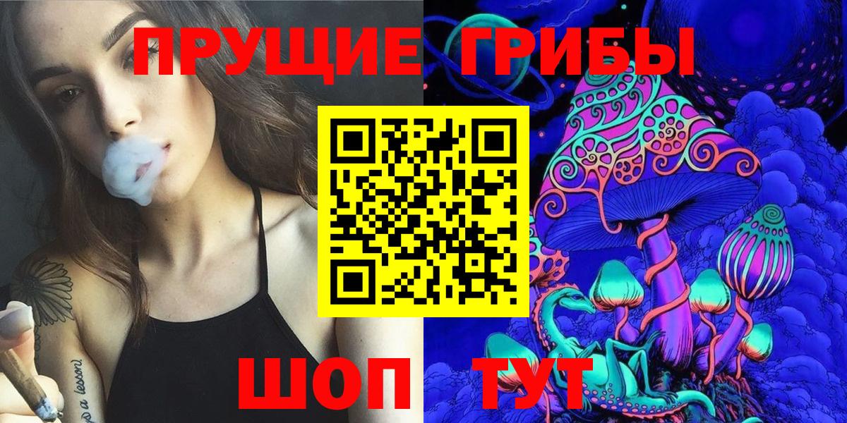 Псилоцибиновые грибы Psilocybine cubensis Саяногорск