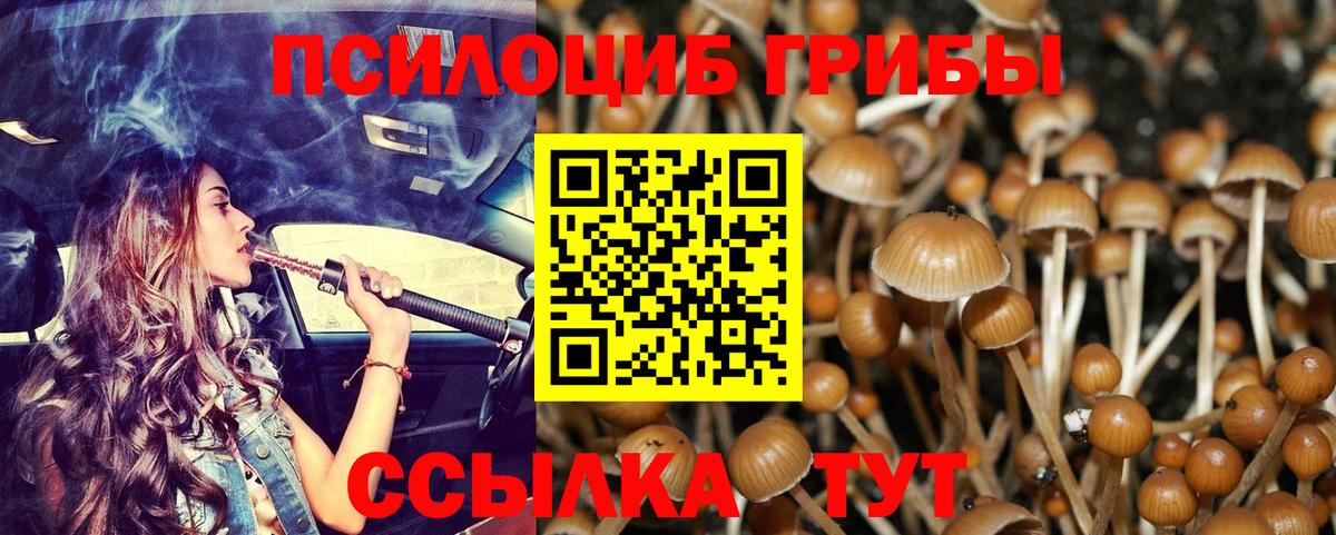 Саяногорск  Псилоцибиновые грибы Psilocybine cubensis  Галлюциногенные грибы Psilocybine cubensis  Вход с VPN 