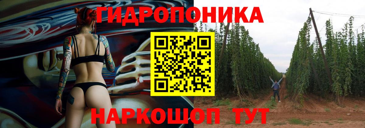 Канабис Amnesia Саяногорск